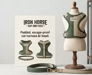 Cat Collar